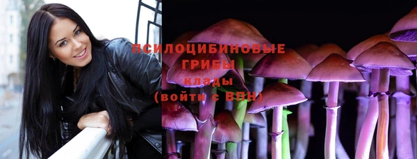МДПВ Кукмор