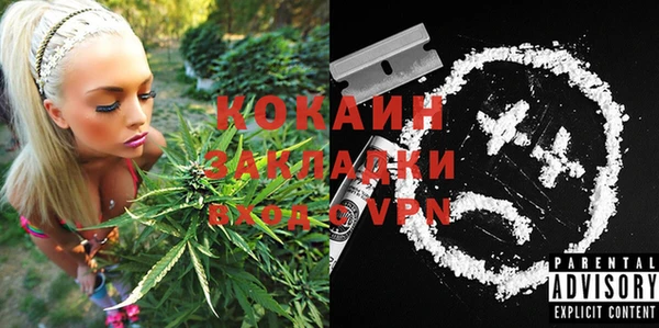 МДПВ Кукмор