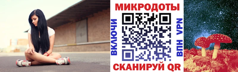 Купить  Волчанск  Псилоцибиновые грибы Psilocybine cubensis 